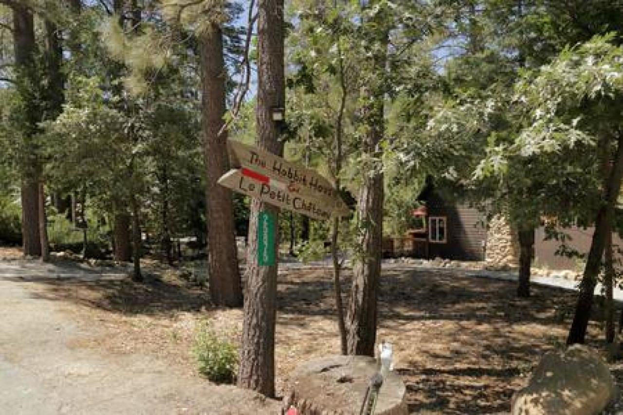 La Petite - Charming In Town Villa Idyllwild Ngoại thất bức ảnh
